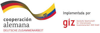 Logo de GIZ